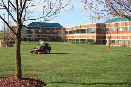 Lakeshore Lawn Service Planting